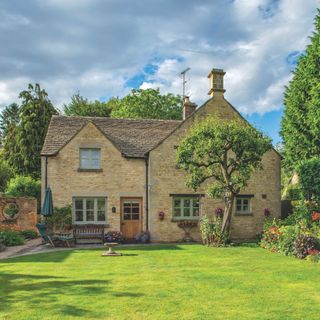 Green grass lawn in front of house with tree and border plants