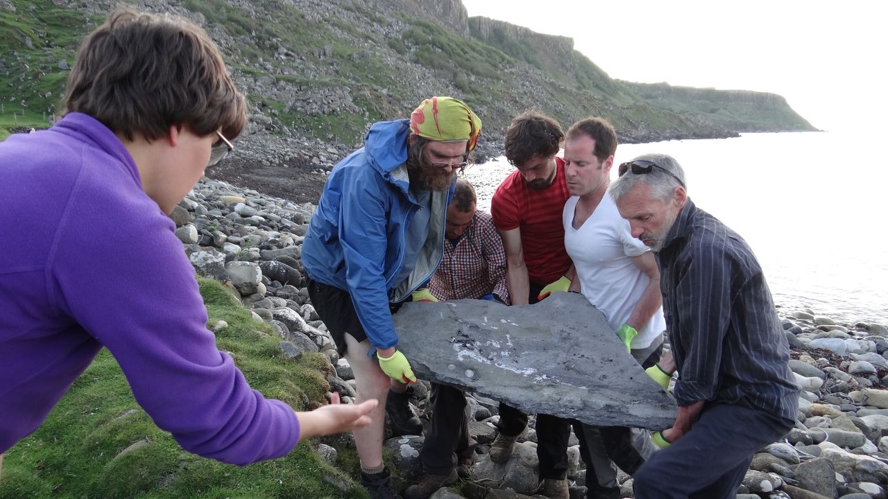 The team lifts the heavy fossil slab.