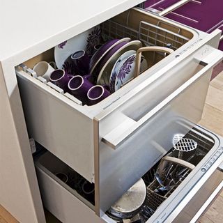 kitchen area with dishwasher and purple platers