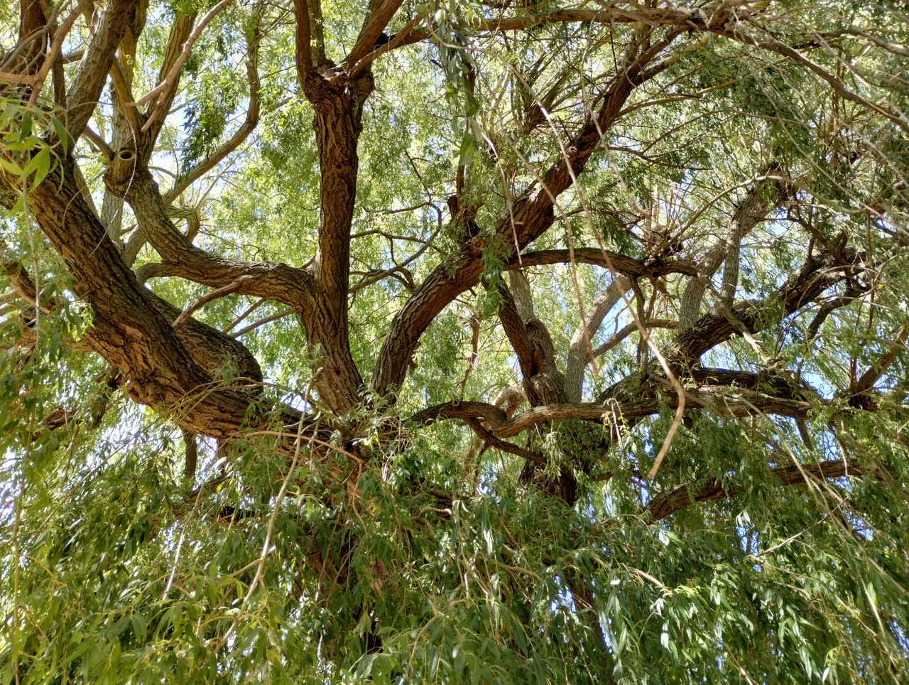 Motorola Moto G82 camera sample: A slightly warm color temperature pairs well with nature scenes.