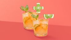 Two cocktail tumblers with plus and minus-shaped garnish