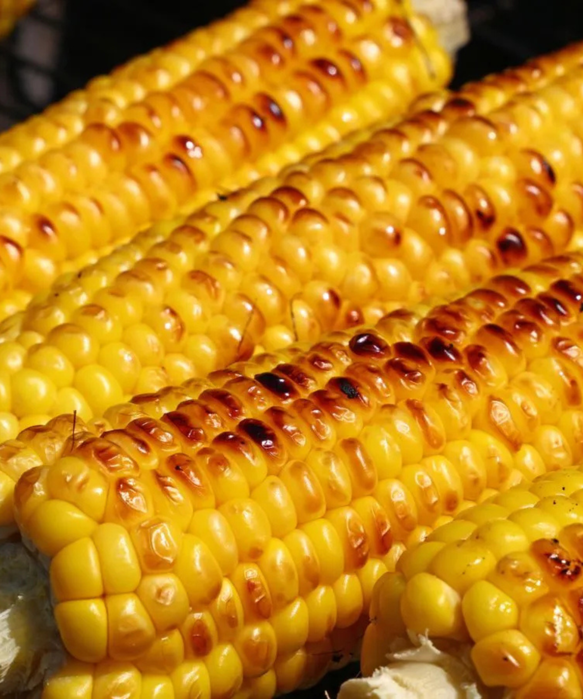 A close up of four corncobs cooked on a charcoal grill