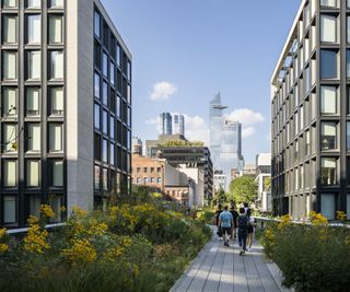 On either side of the central walkway are lush greenery planted with yellow flowers.