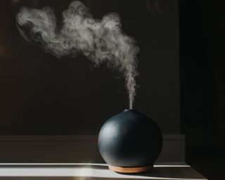 A black spherical mist diffuser