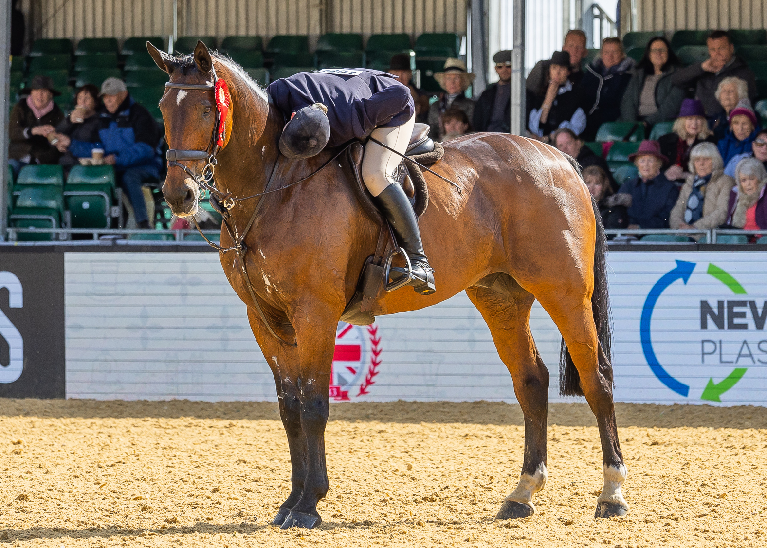 Hannah Horton hugs Its Lush after they are called forwards 2026 Royal Windsor working hunter champions
