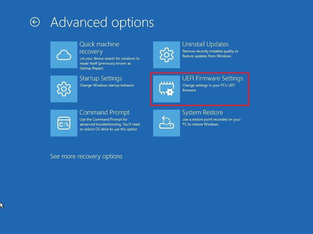 WinRE UEFI firmware settings