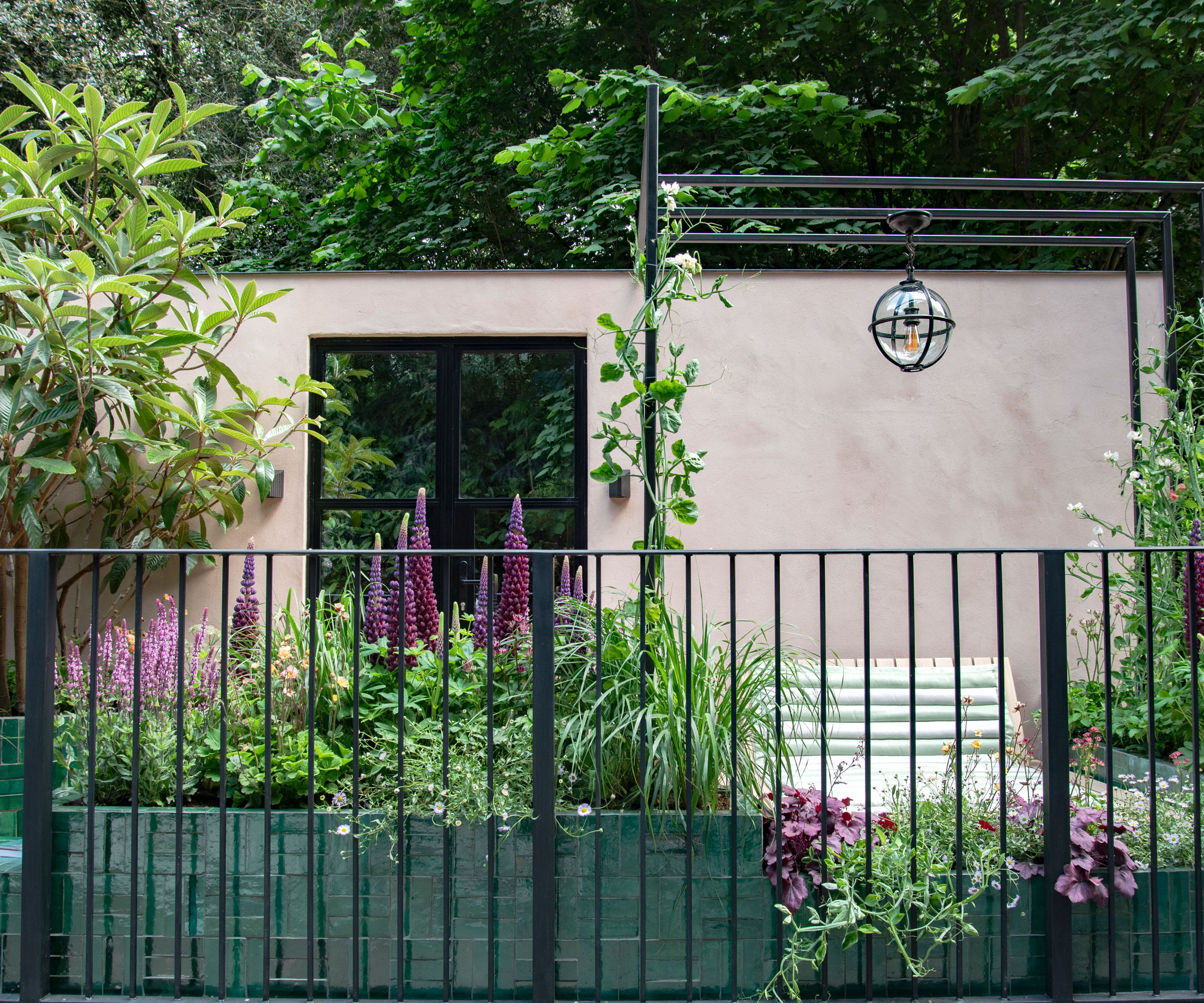 Patio with green climbing vines and purple perennial blooms