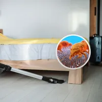 Waking up at 3 a.m.? Allergist reveals 3 hidden dust traps that could be behind your frequent night wakings