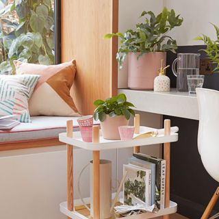 houseplants arranged in a living area on a transportable trolley