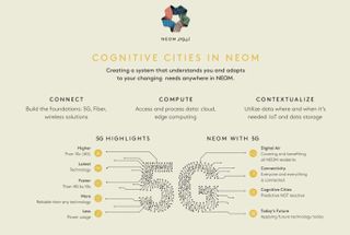 Overview of Neom's plans for its 5G infrastructure.