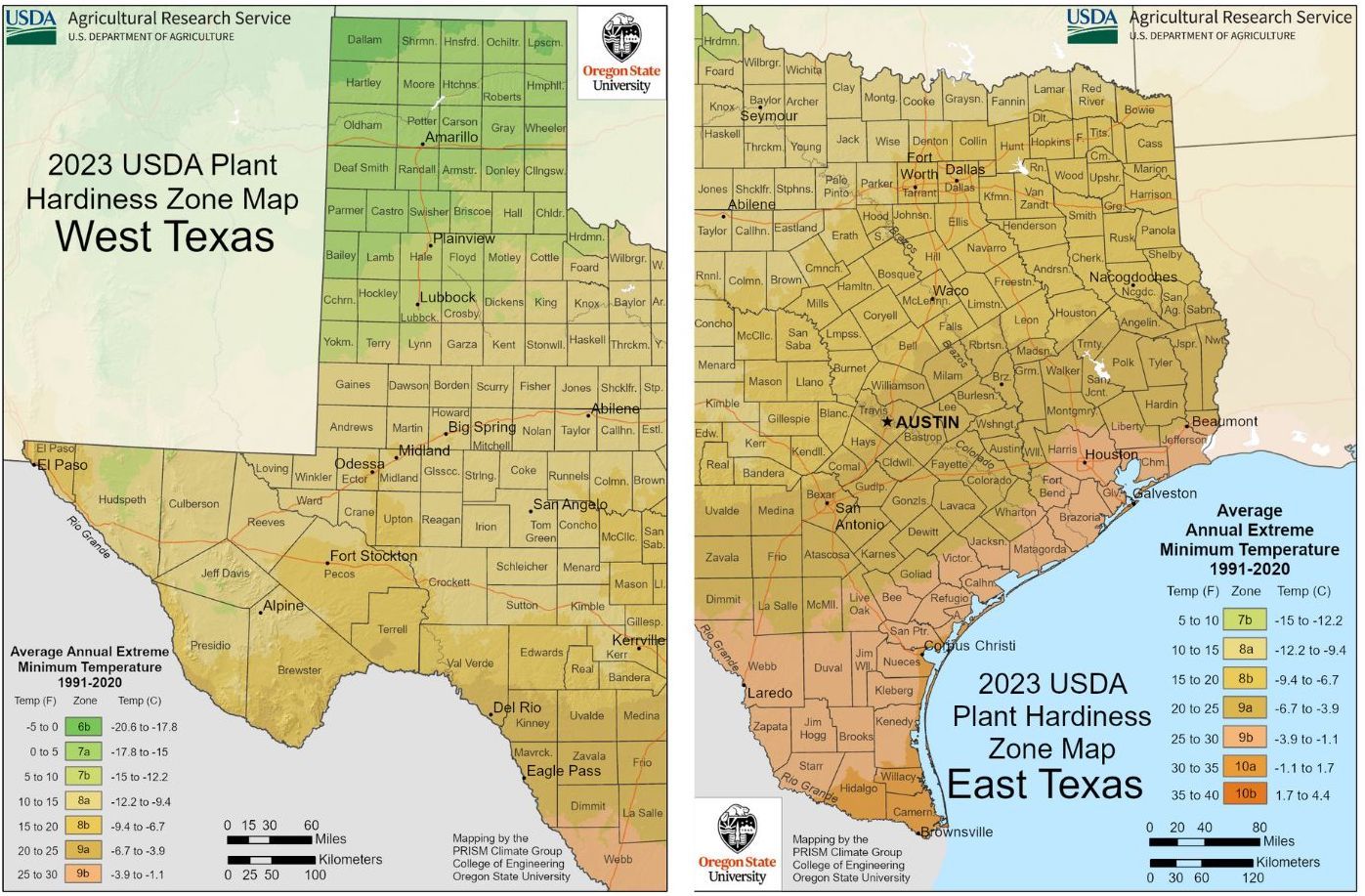 USDA Texas Planting Zones Map For Plant Hardiness Gardening Know How