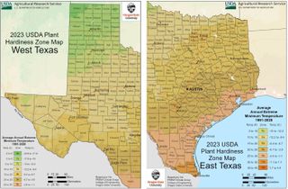 USDA Plant Hardiness Zone Map for Texas