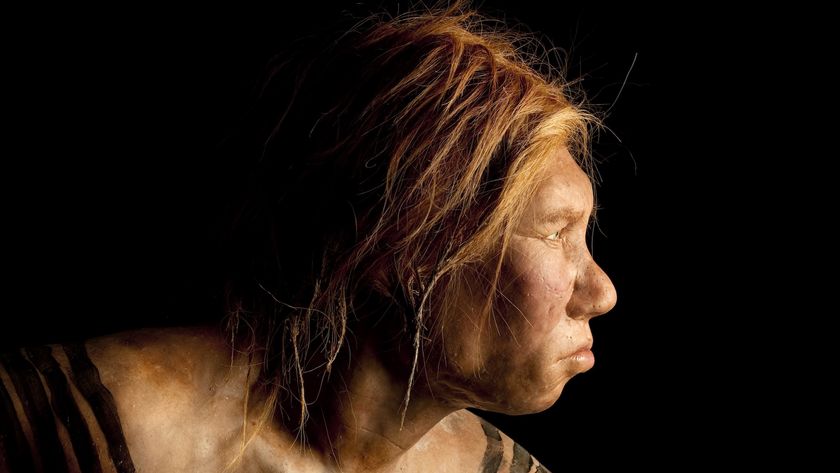 a recreation of a Neanderthal woman