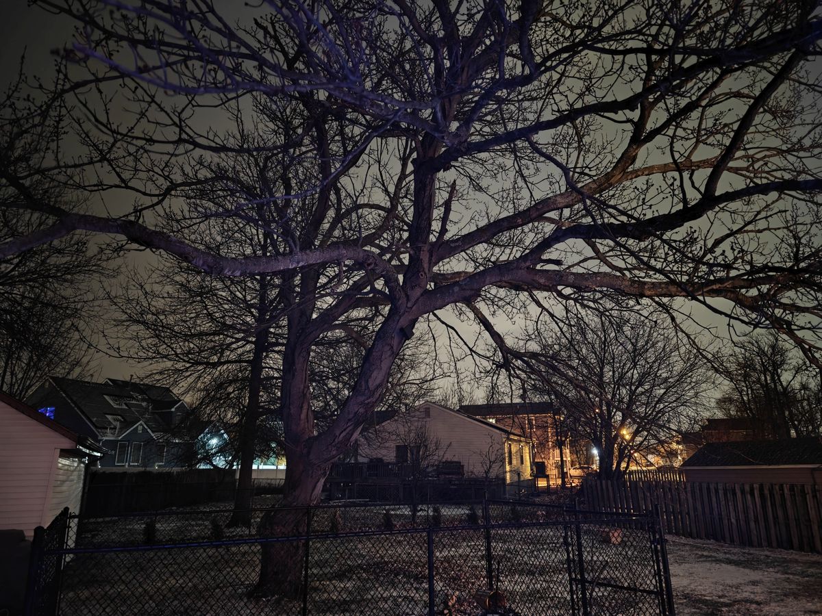 OnePlus 13 low light sample.
