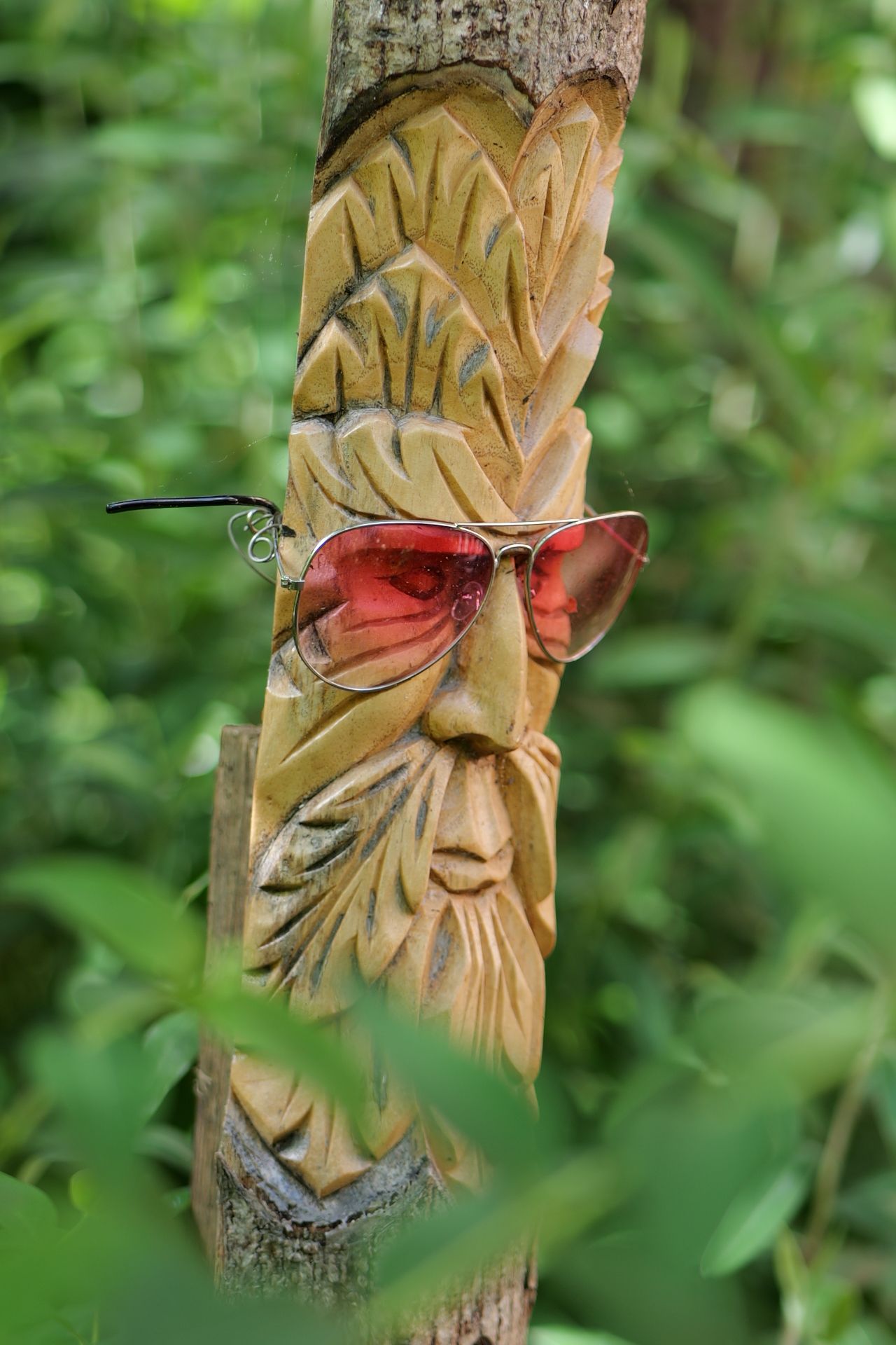 Images captured on the Panasonic Lumix S9