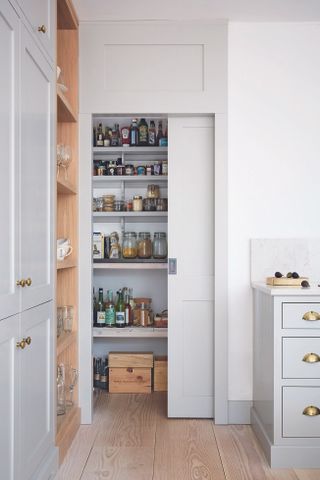 Kitchen pantry with pocket door