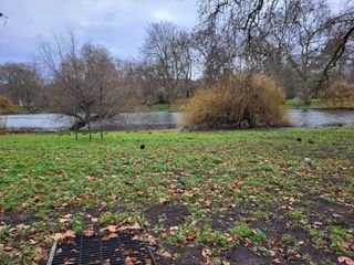 Samsung Galaxy S21 FE camera sample