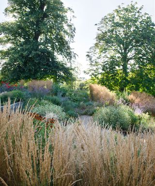 grasses and drought tolerant planting on a sloping hillside garden