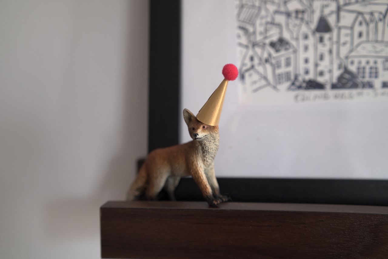A photo of a fox miniature taken on a Sigma BF