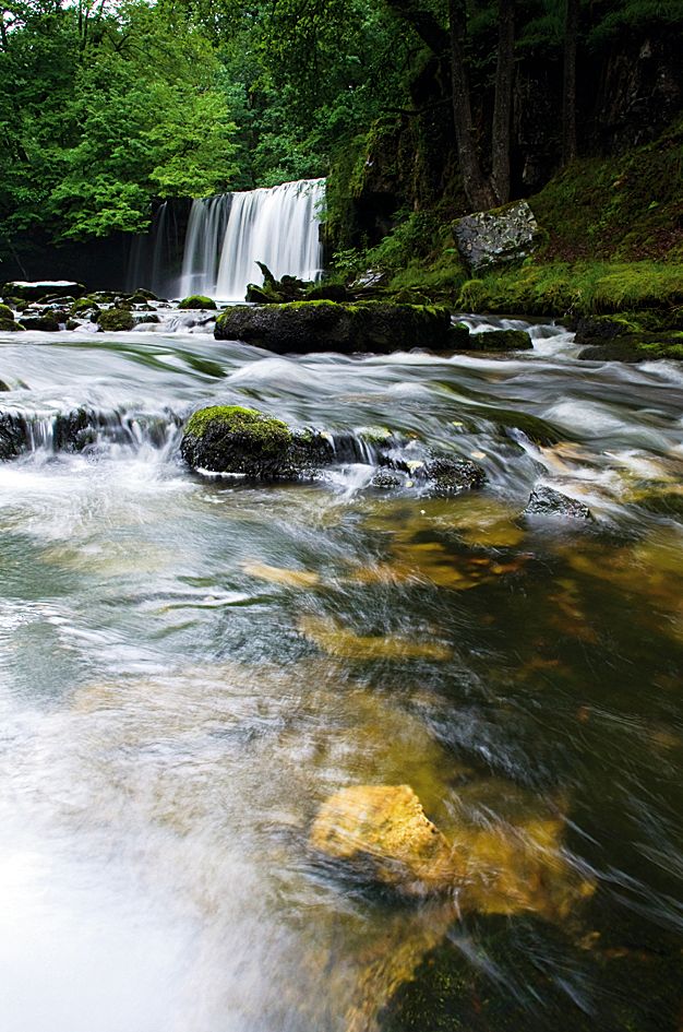 Without a polarizing filter