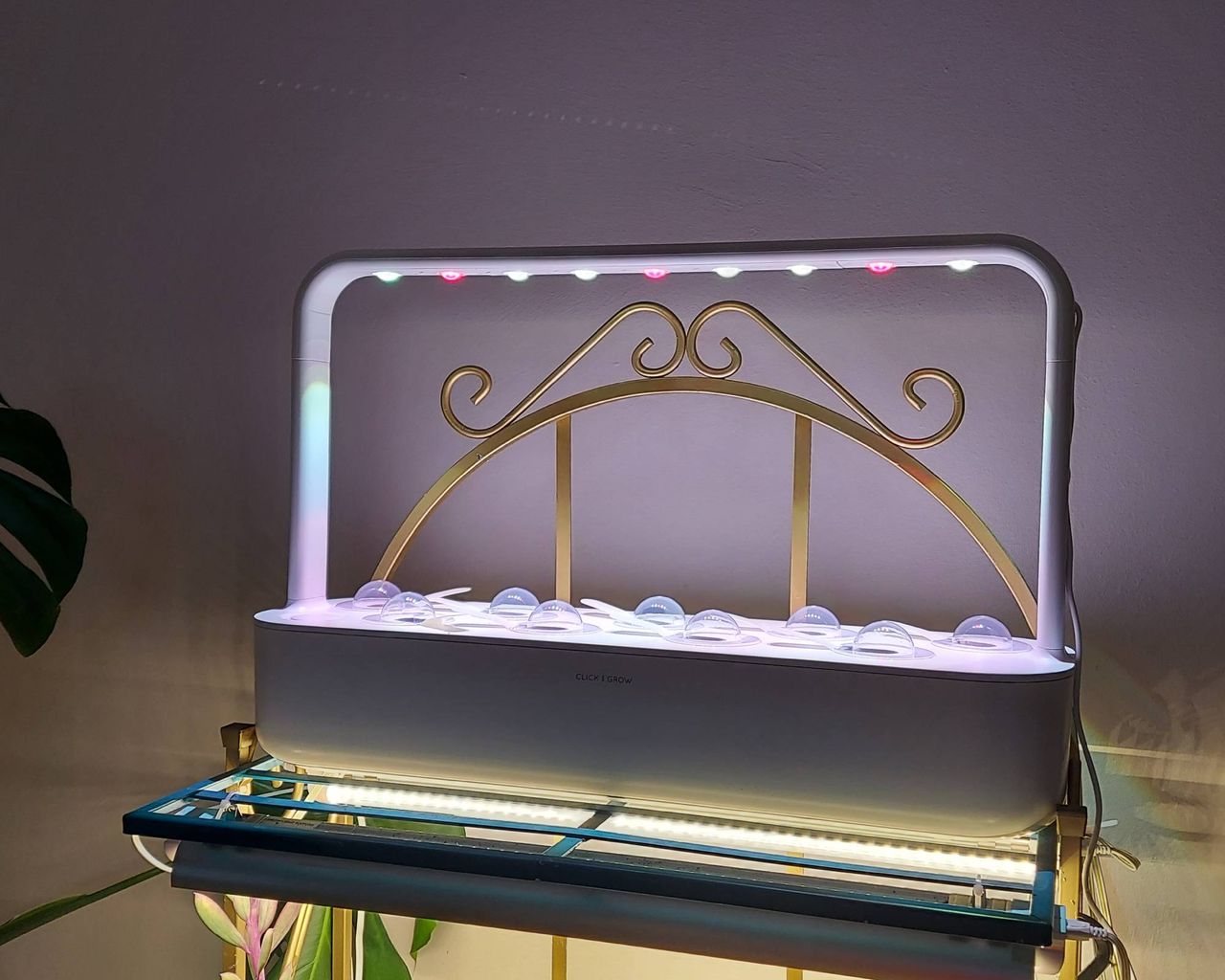Click and grow smart garden 9 set up
