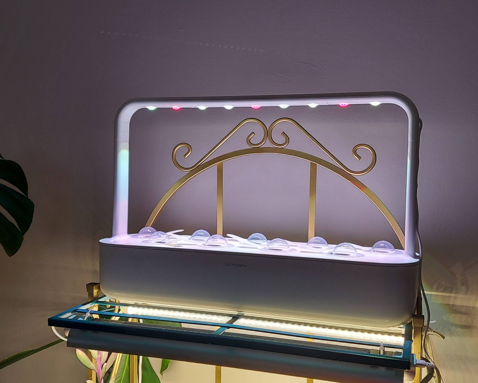 Click and grow smart garden 9 set up