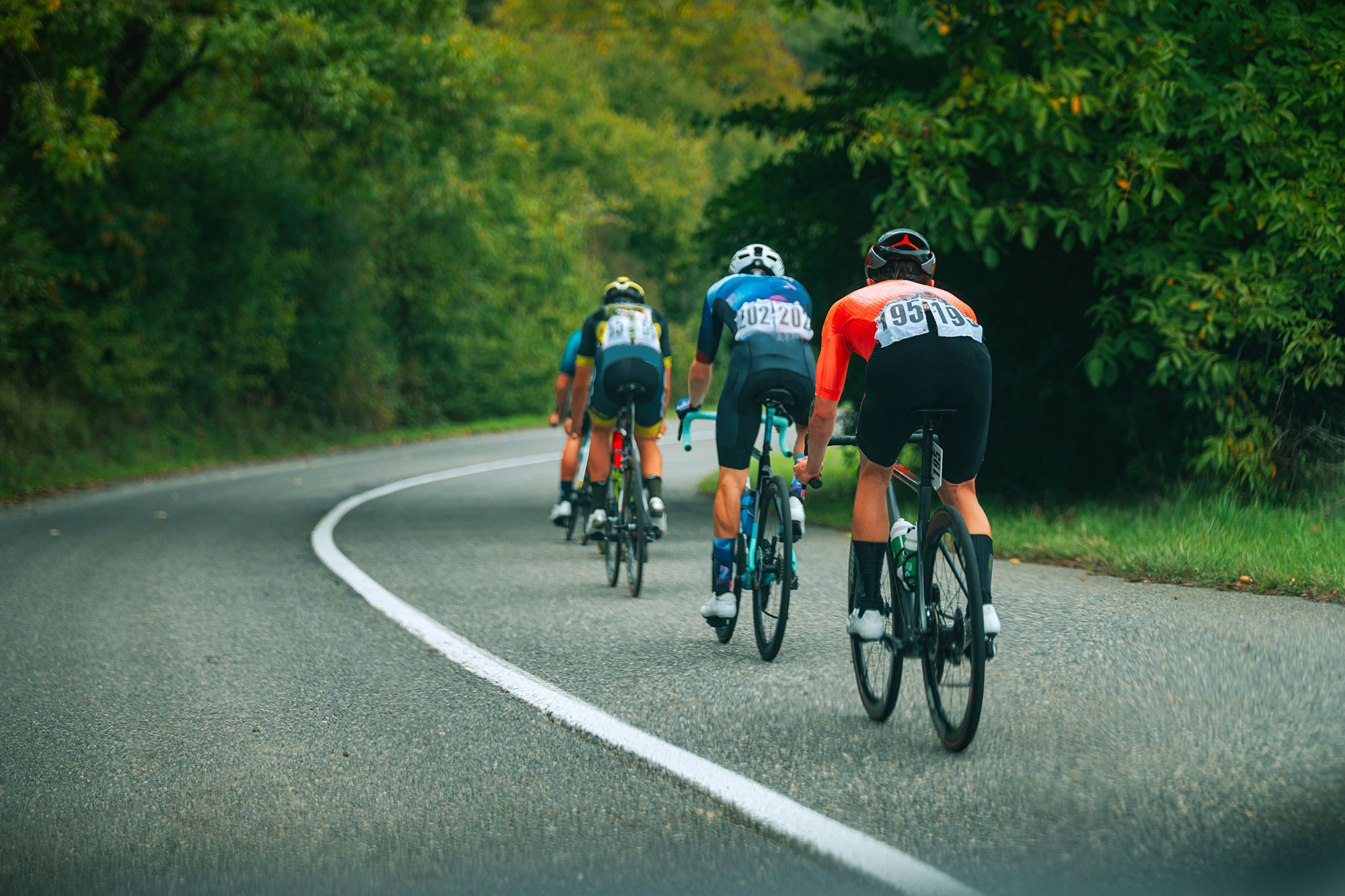 Four cyclists are racing down a descent into a right-hand bend