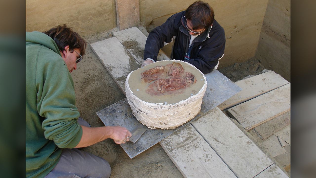 Researchers excavate the double burial in Krems am Wachtberg.