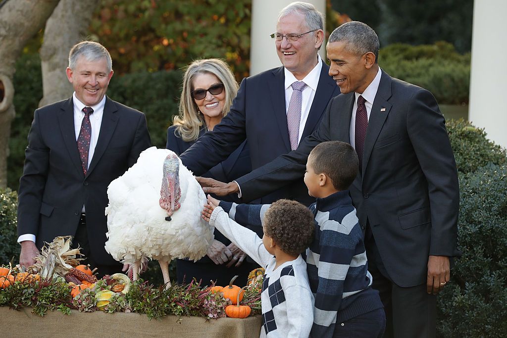 President Obama pardons the National Thanksgiving Turkey, &amp;#039;Tot,&amp;#039; with his nephews.