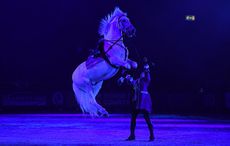 Atkinson-Action-Horses_HOYS_PN17_101371-1.jpg