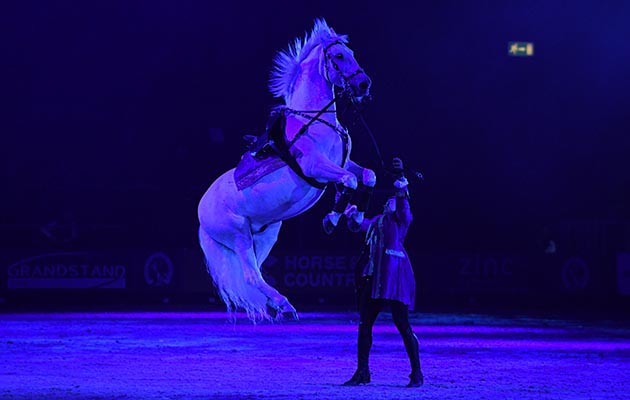Atkinson-Action-Horses_HOYS_PN17_101371-1.jpg