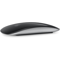 Apple Magic Mouse | $99