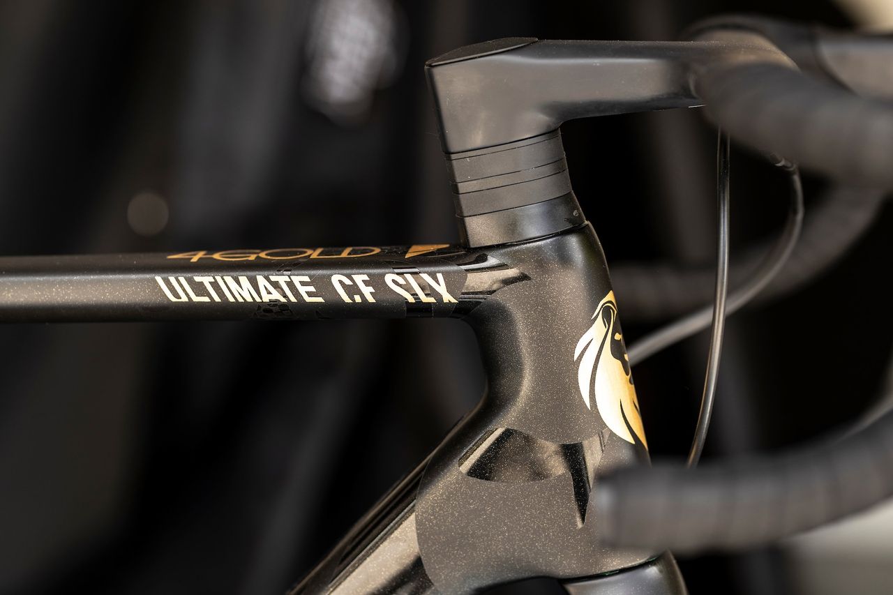 24 karat gold Canyon signed by Mathieu van der Poel