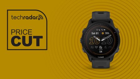 Garmin Forerunner 955 Solar 