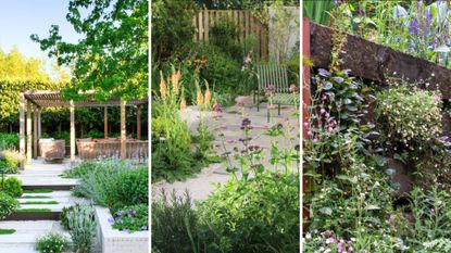 Compilation of three garden designs to showcase the latest garden trends 2026