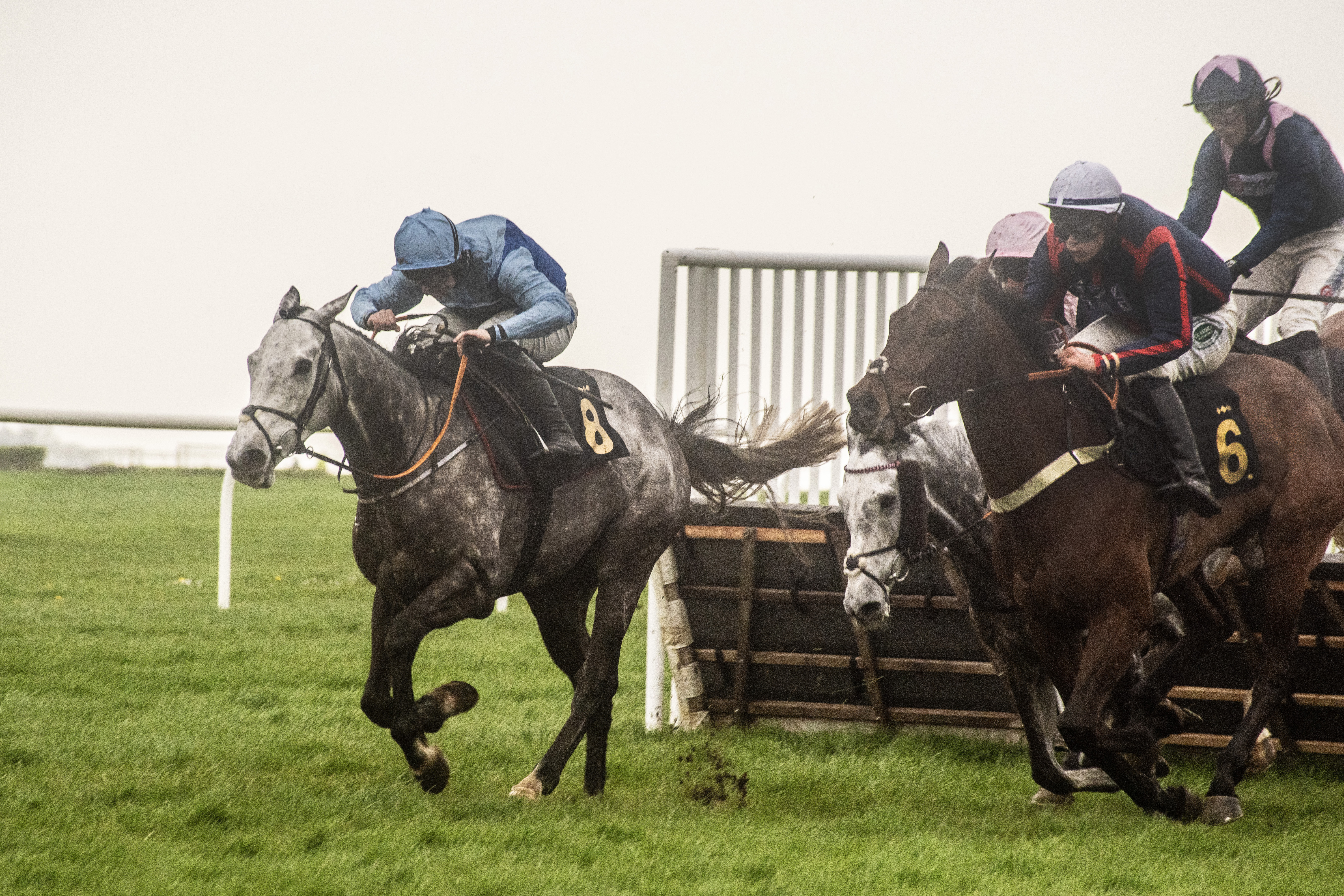 Capture the action as the horses clear the jumps. Leave room in the composition for the direction they are heading in.