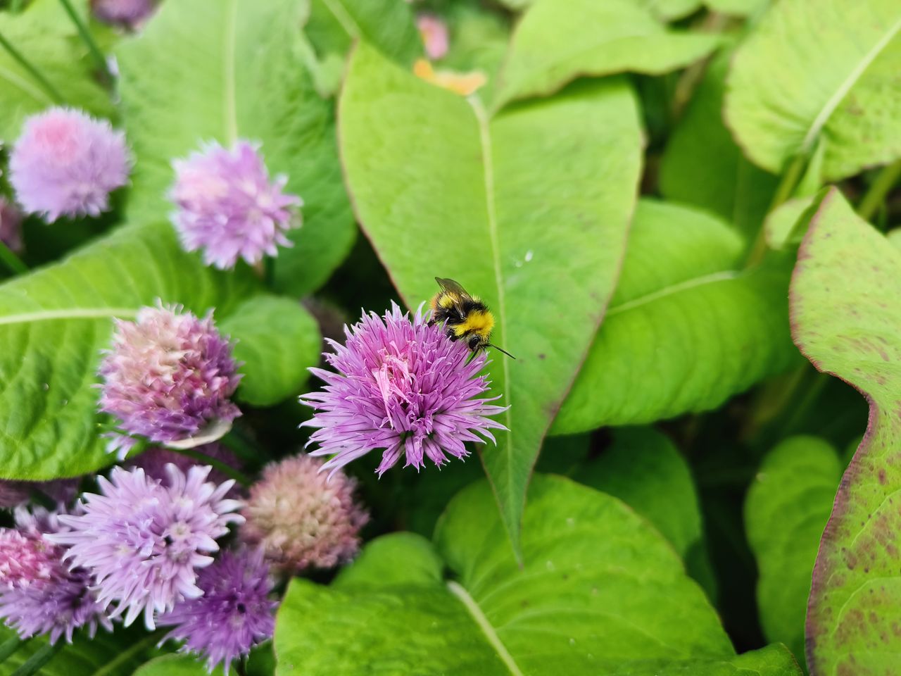 A Realme GT Neo 3 camera sample