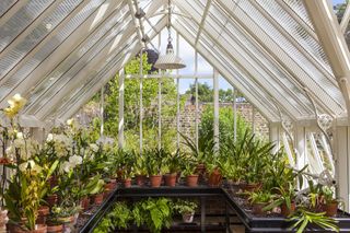 Alitex greenhouses