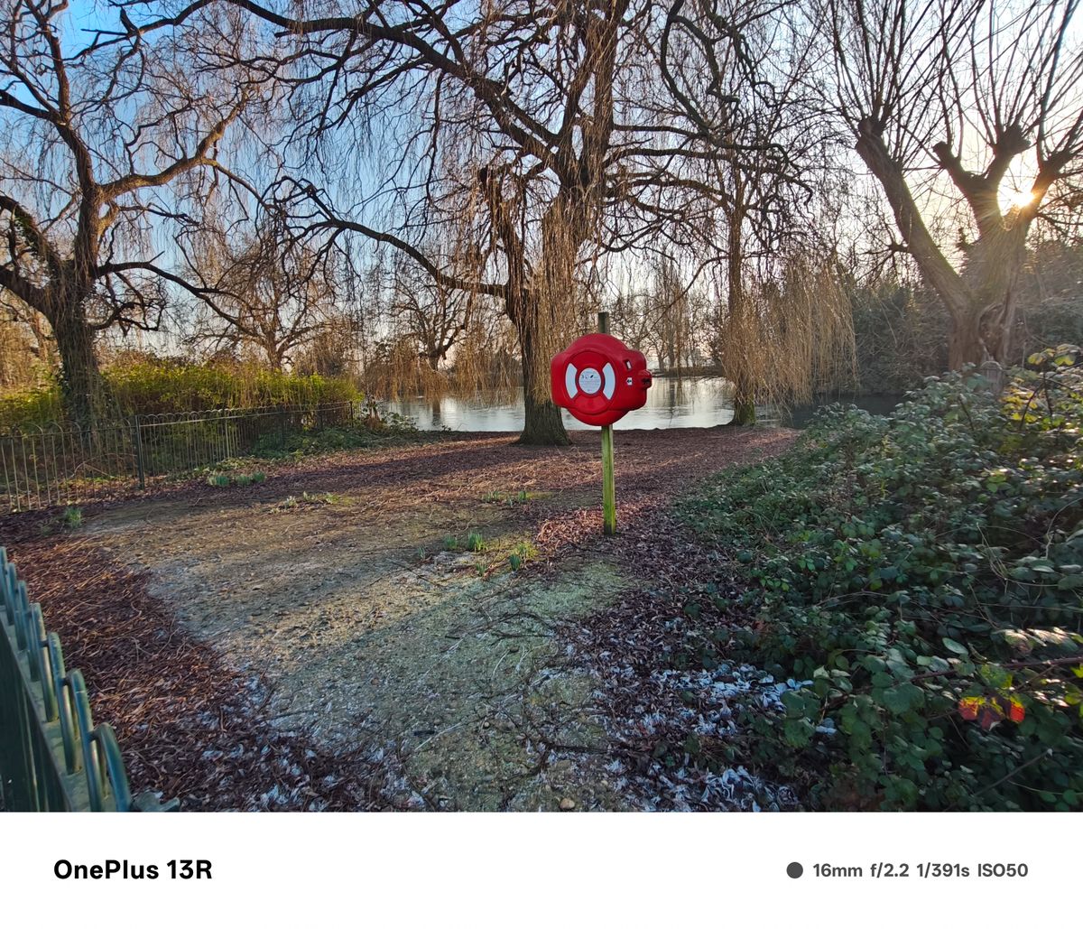 Life ring in front a lake surrounded by trees with no leaves