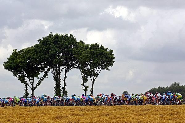 The bunch makes its way through the countryside.