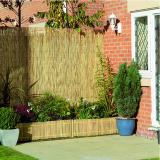 reed fence from Wickes