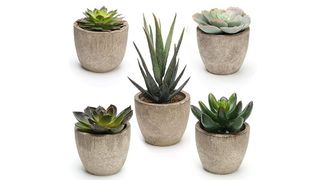 best artificial plants