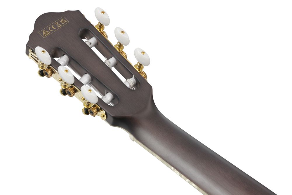 Ibanez TOD10N
