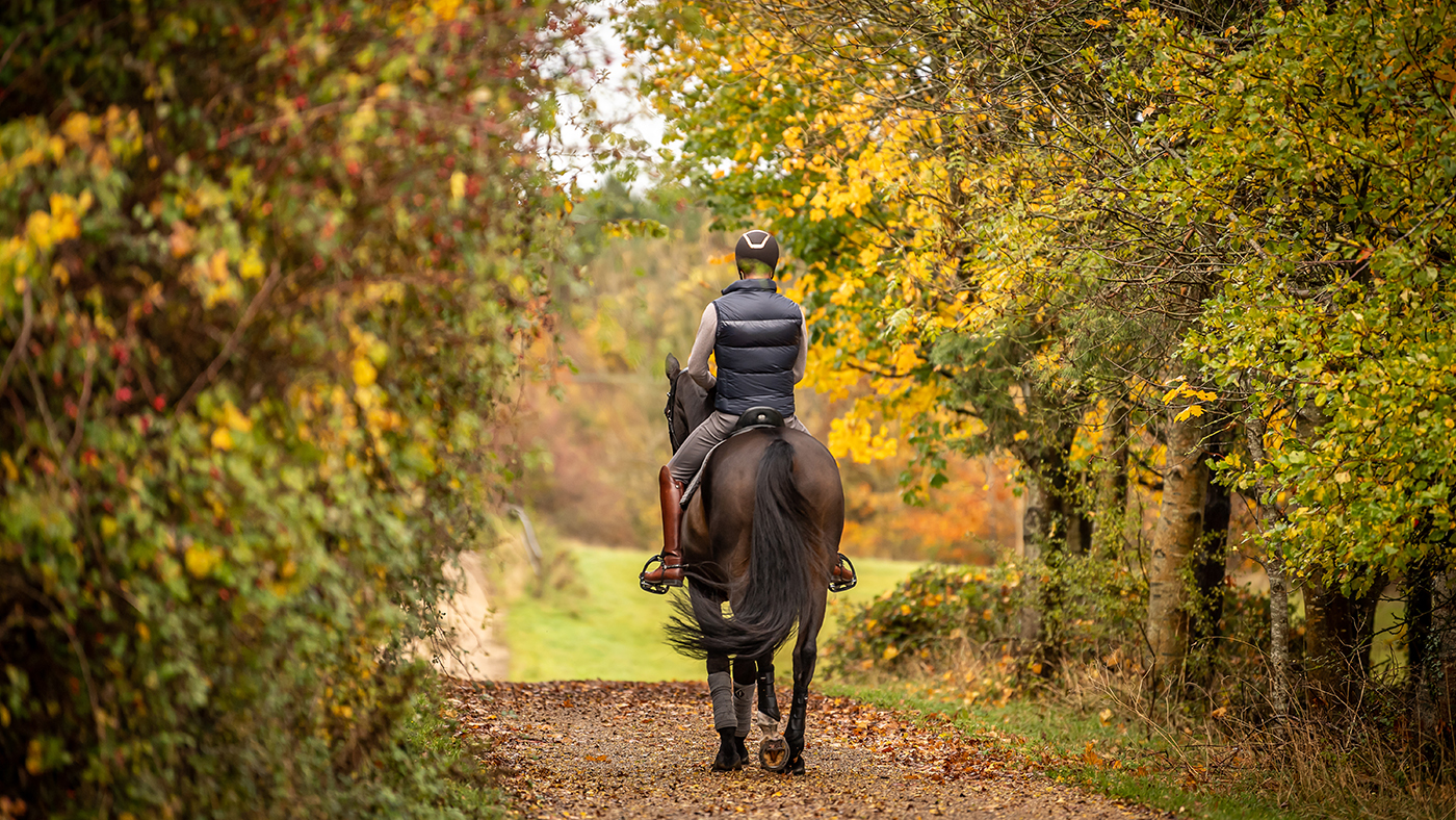 Cotswold-Club-Equestrian-50.jpg