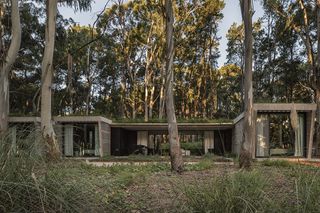 Argentinian retreat in the forest