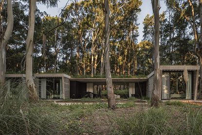 Tour Argentinian retreat, Forest House | Wallpaper