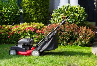 old gas lawnmower