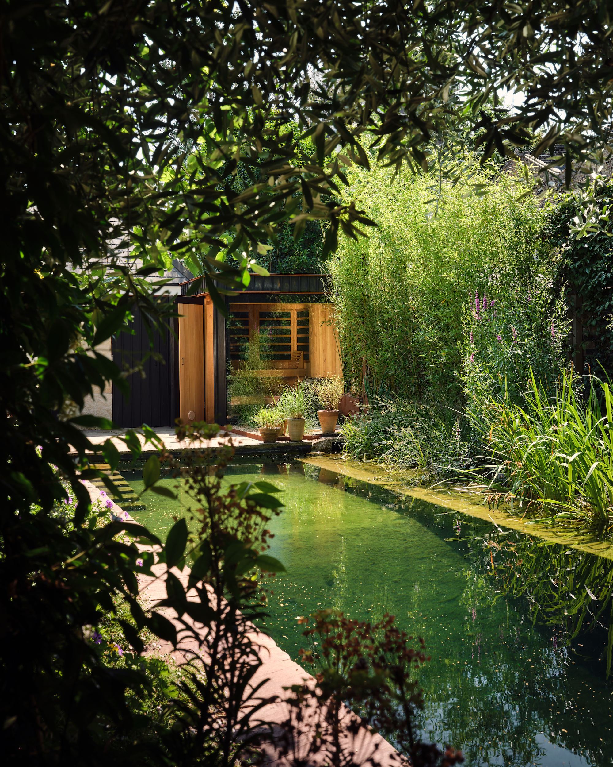natural pool surrounded by greenery with a wooden sauna at the far end