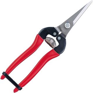 Stainless Steel Needle Nose Fruit Pruners