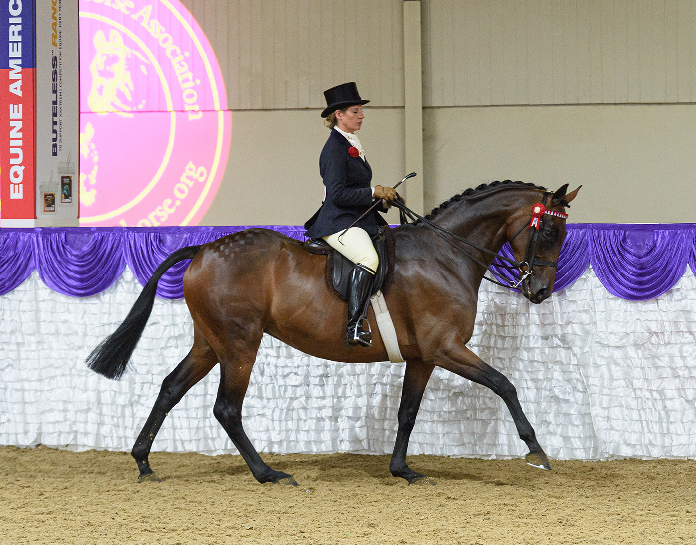 Katey Saggers and WHALTON RAZZLE DAZZLE - BHSA National Championship Show 2021